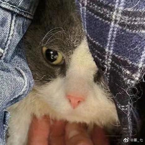 讨厌夏天（见过乔兮版）