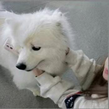 心怀天下的佟先生