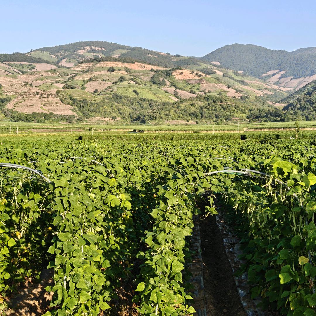 荔香龙悦果品铺