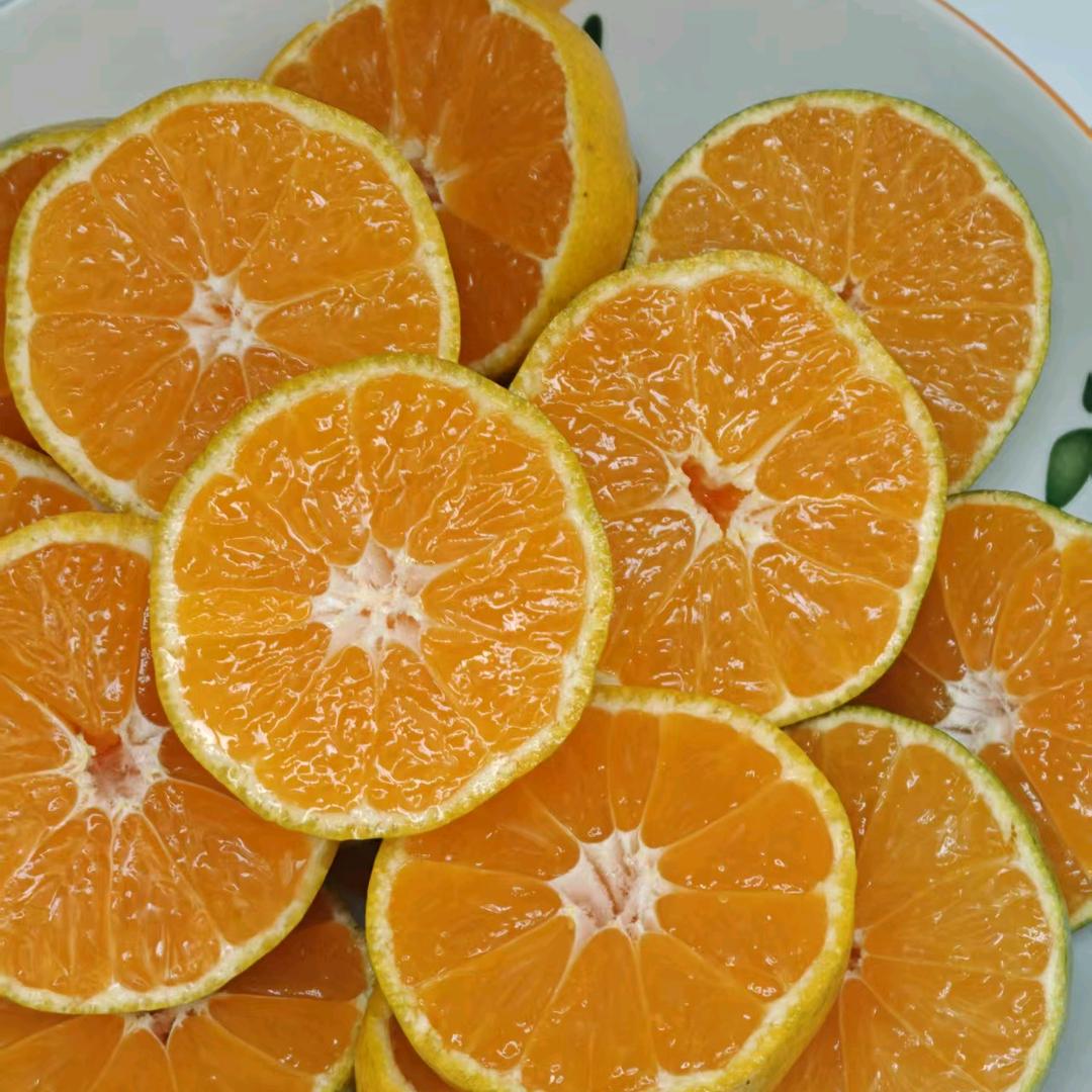 仙人掌刺球，请勿靠近