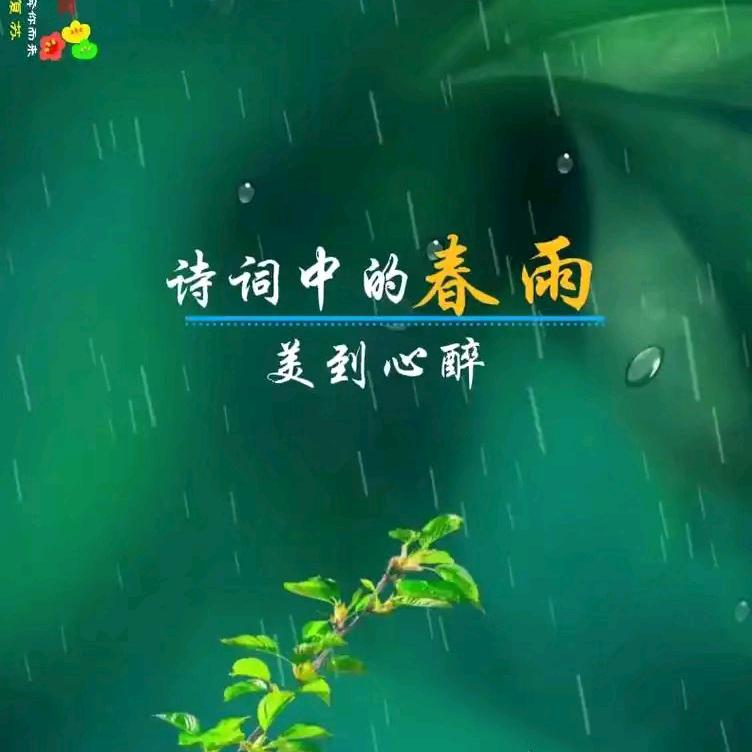 春雨