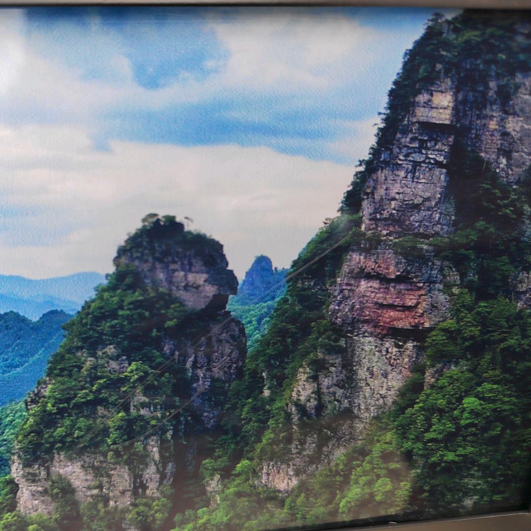 小陈说农业