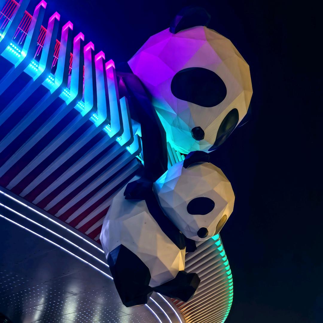 飞鸟与树zzz