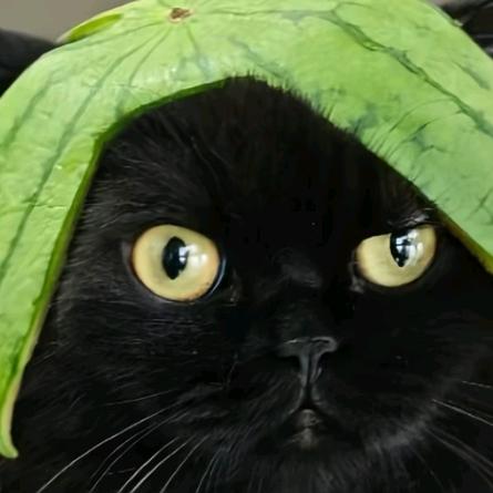 小u