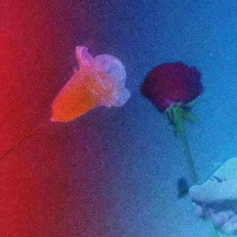 贴脸默认雷朋99