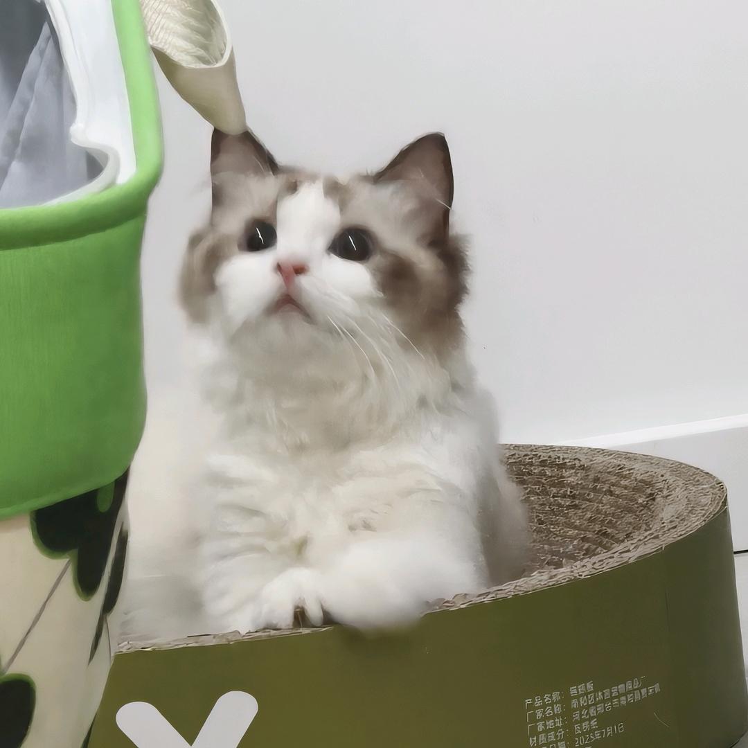 甜财运lucky✨