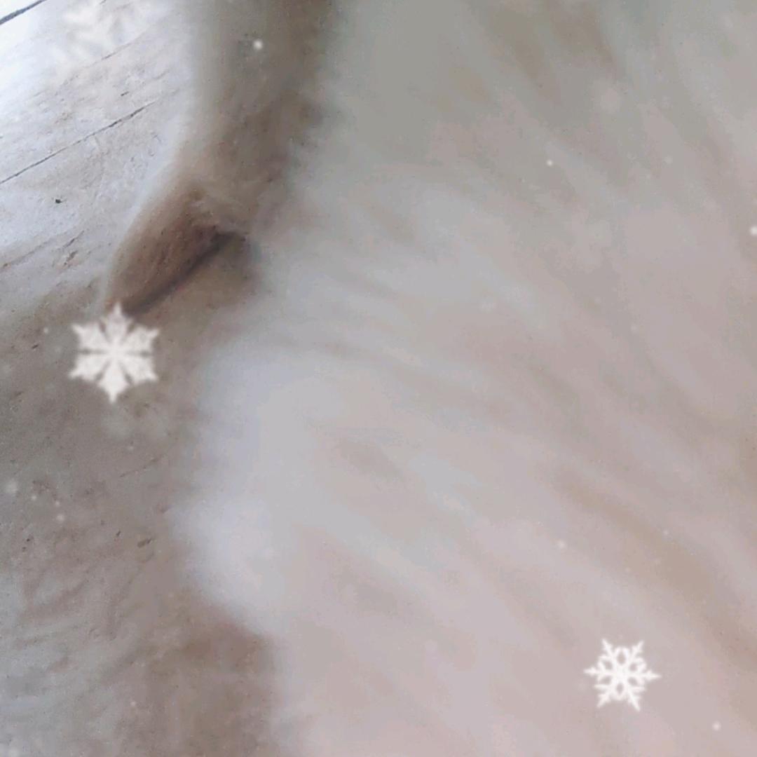 多玩和平有力气