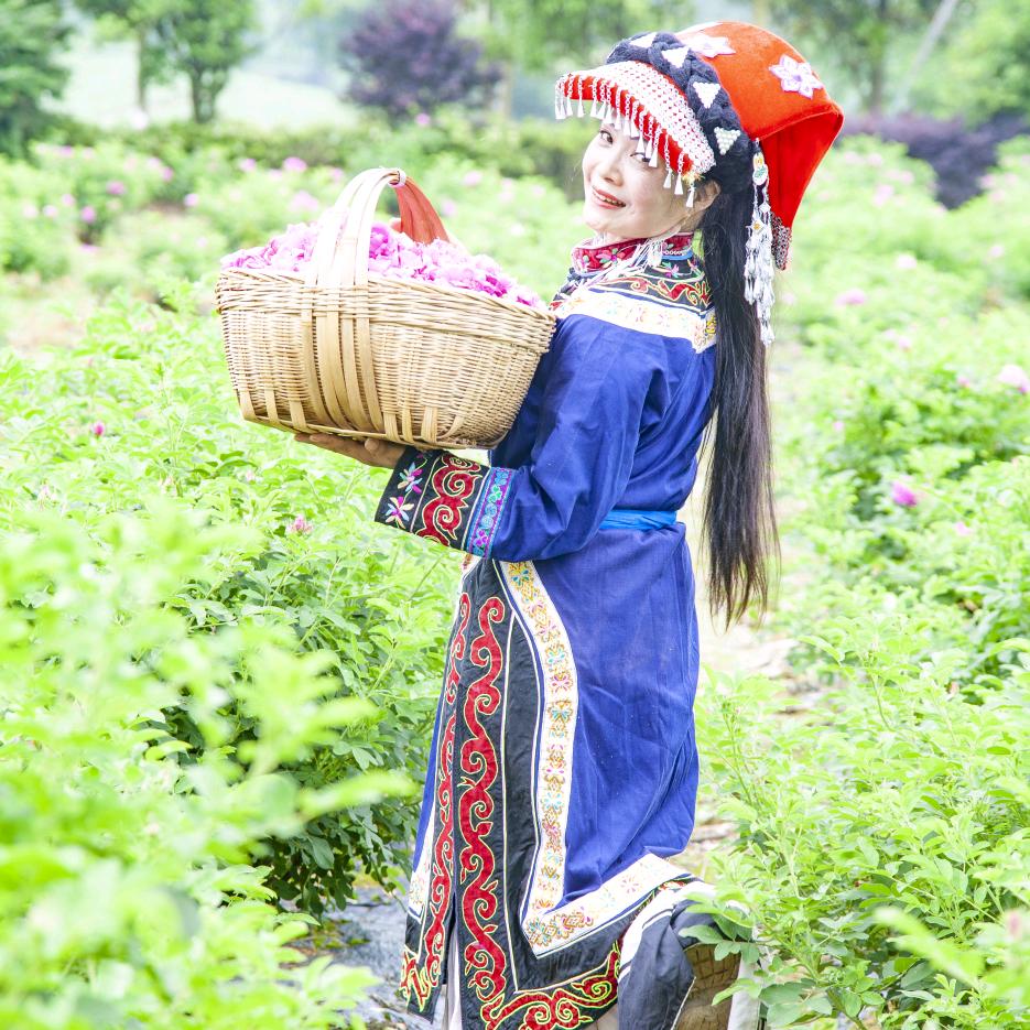 彝山索玛