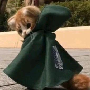 我不是张明鑫