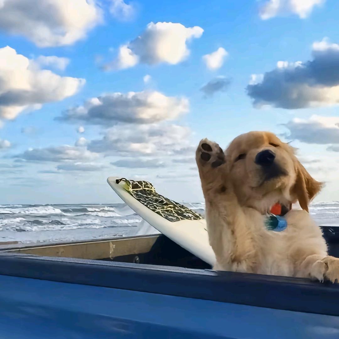 雾会散🌥
