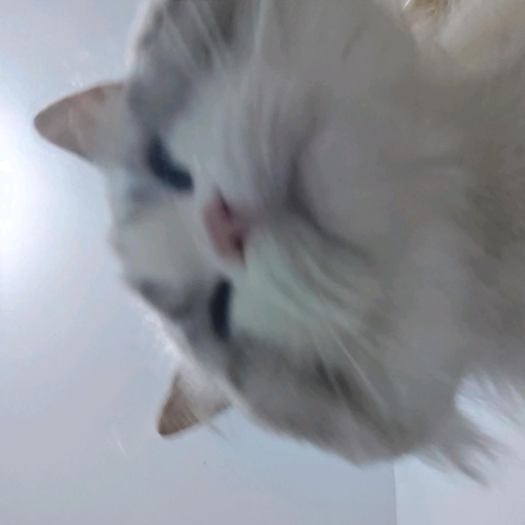 小宅