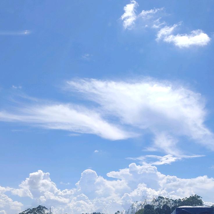 户外🐟小伍