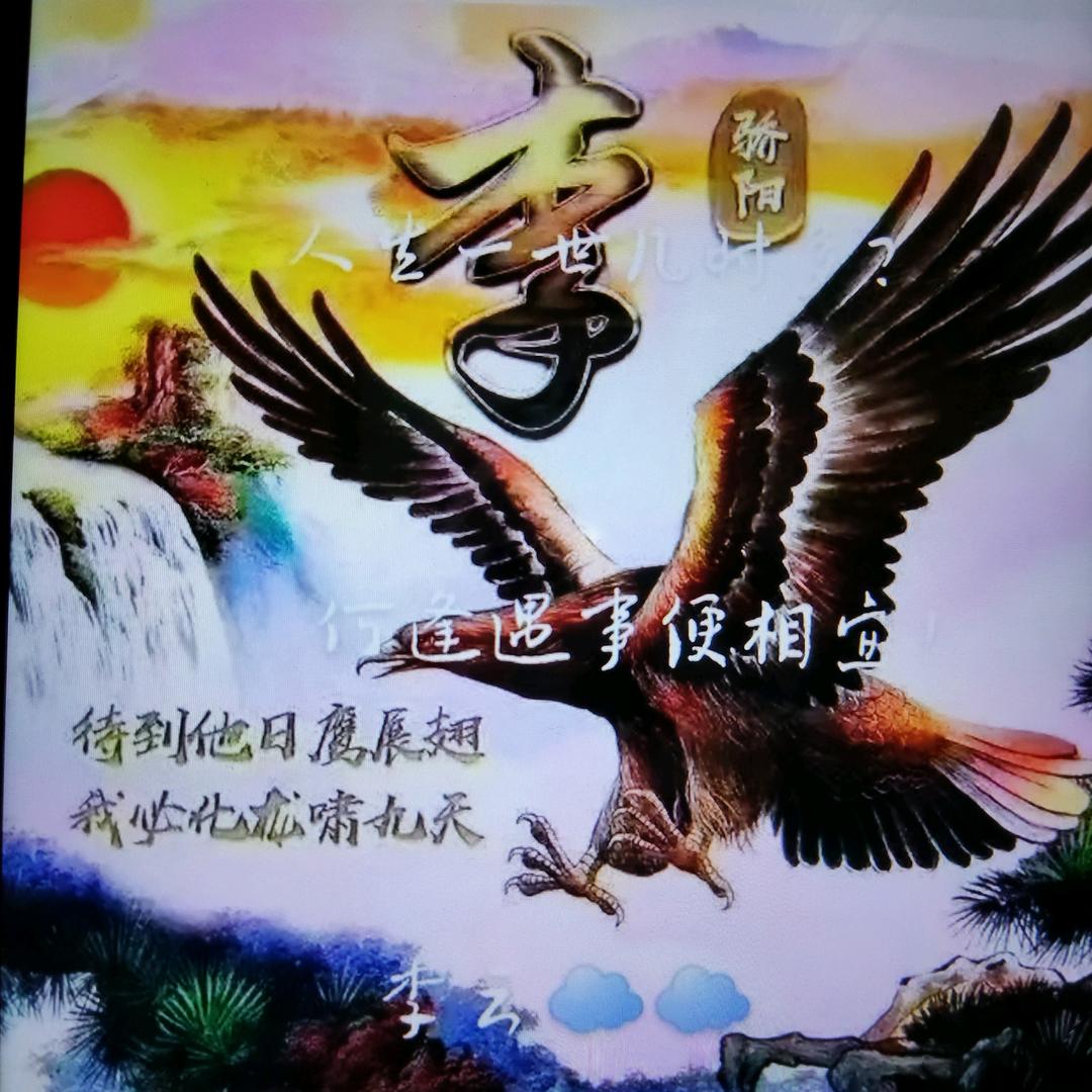 人生几何？云哥