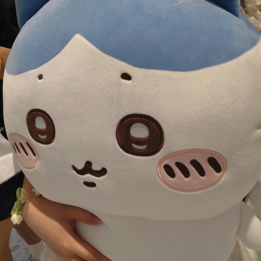 我是bt