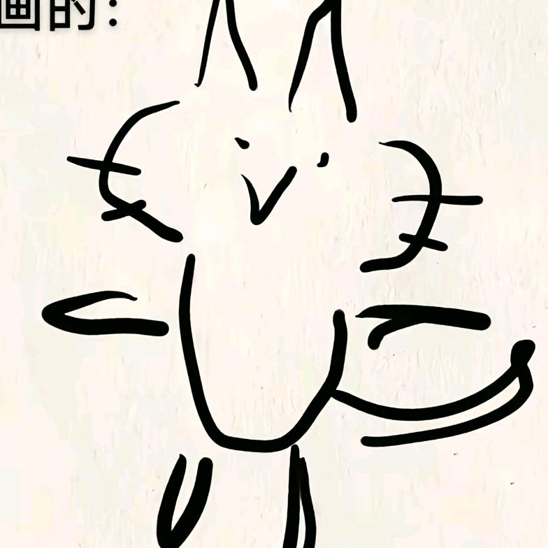 呆呆的null