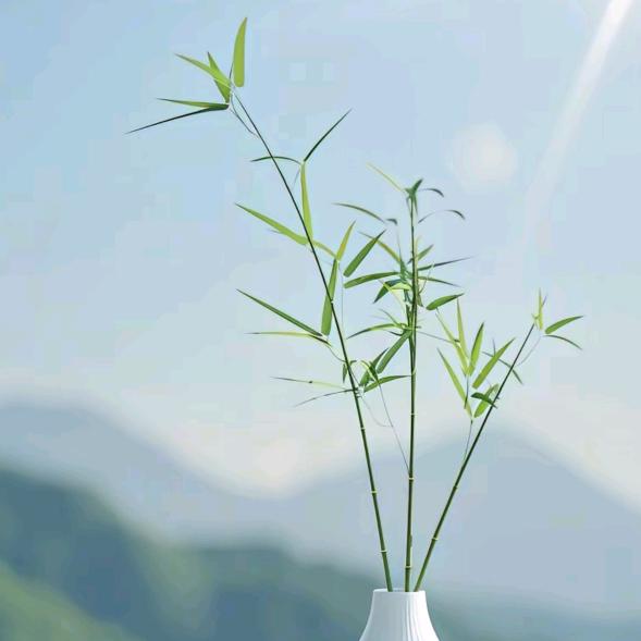 知芯倾听