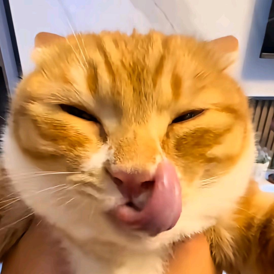 银色6十6（值啵免费送段位）