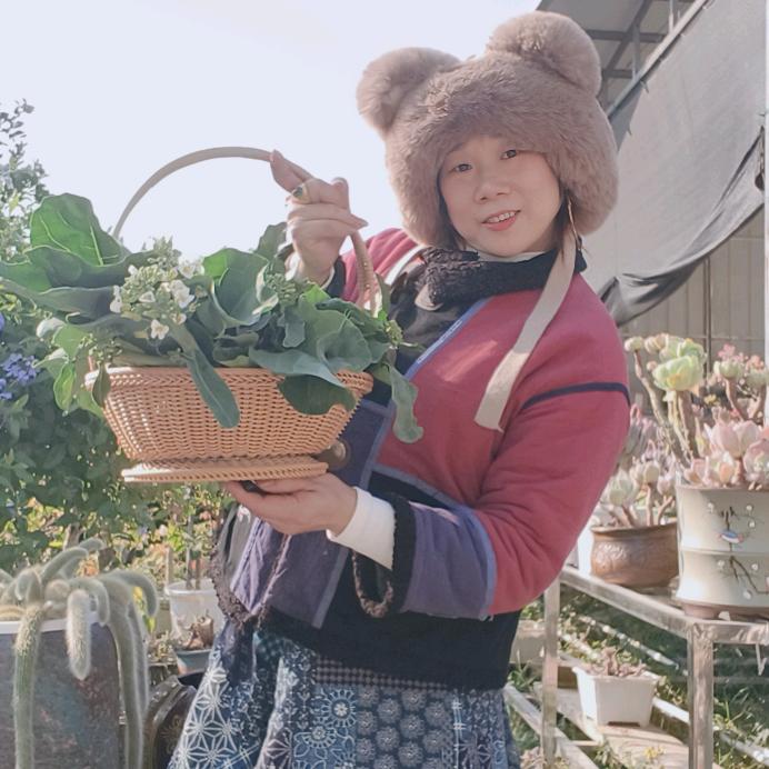 凤姐