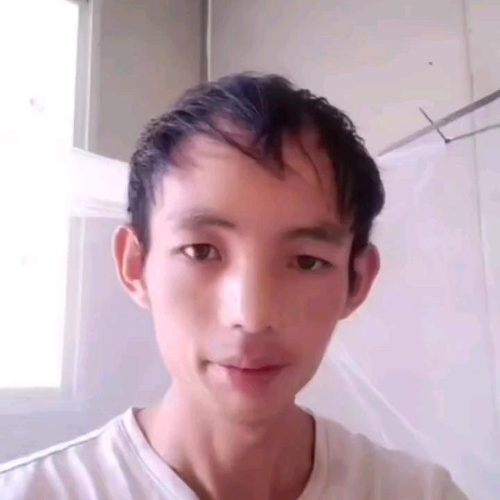 闵家林
