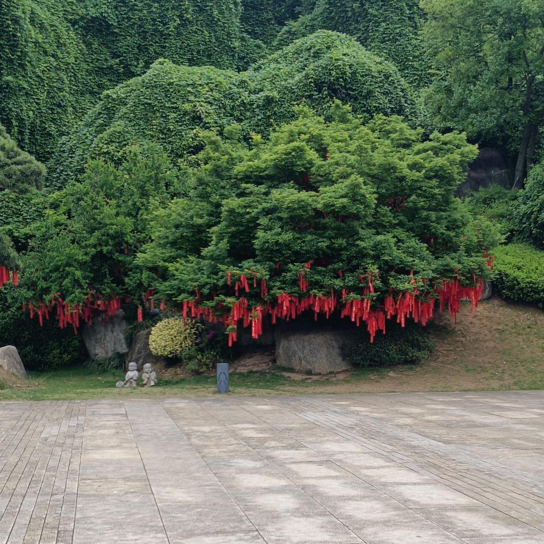 玲珑🍀