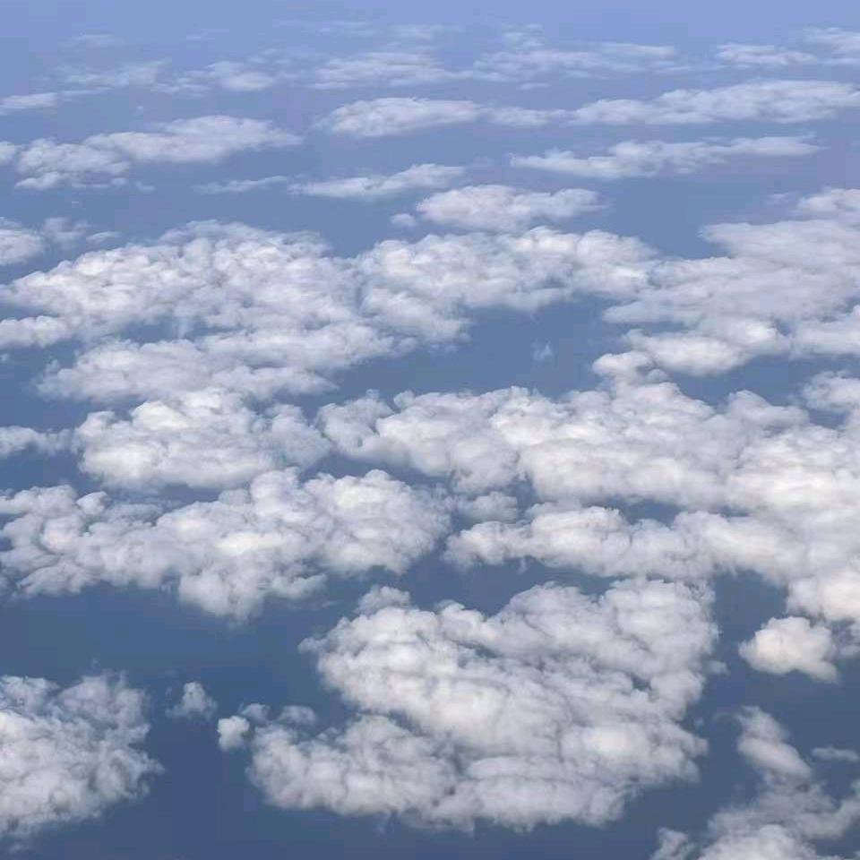 随心≥﹏≤随缘