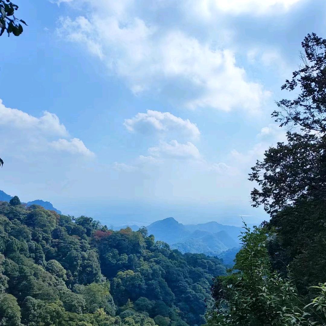 用户名
