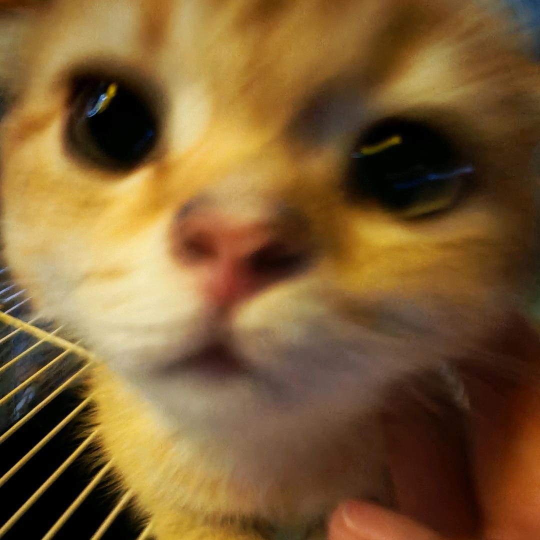 大小姐驾到