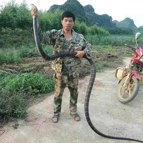 十三哥土货专业户