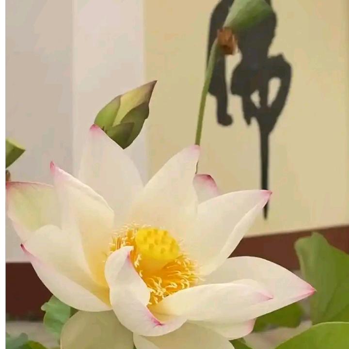 感恩缘分