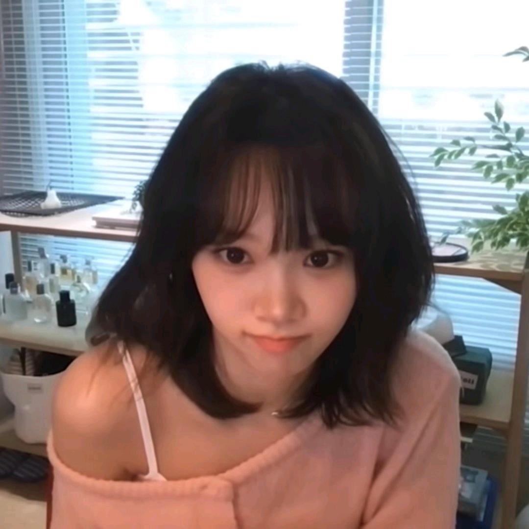 金采源的狗
