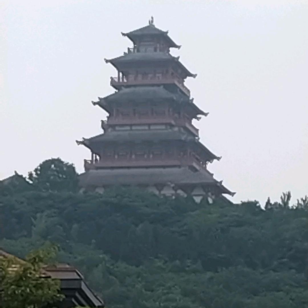 w.哥