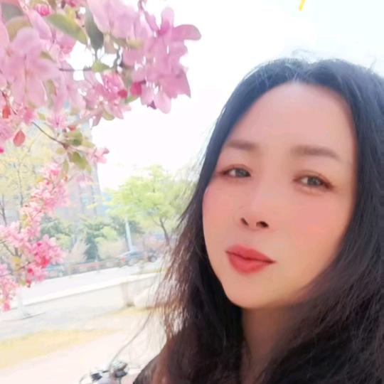 夏天的雪儿