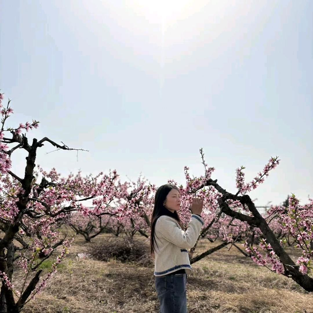 花落莫相离