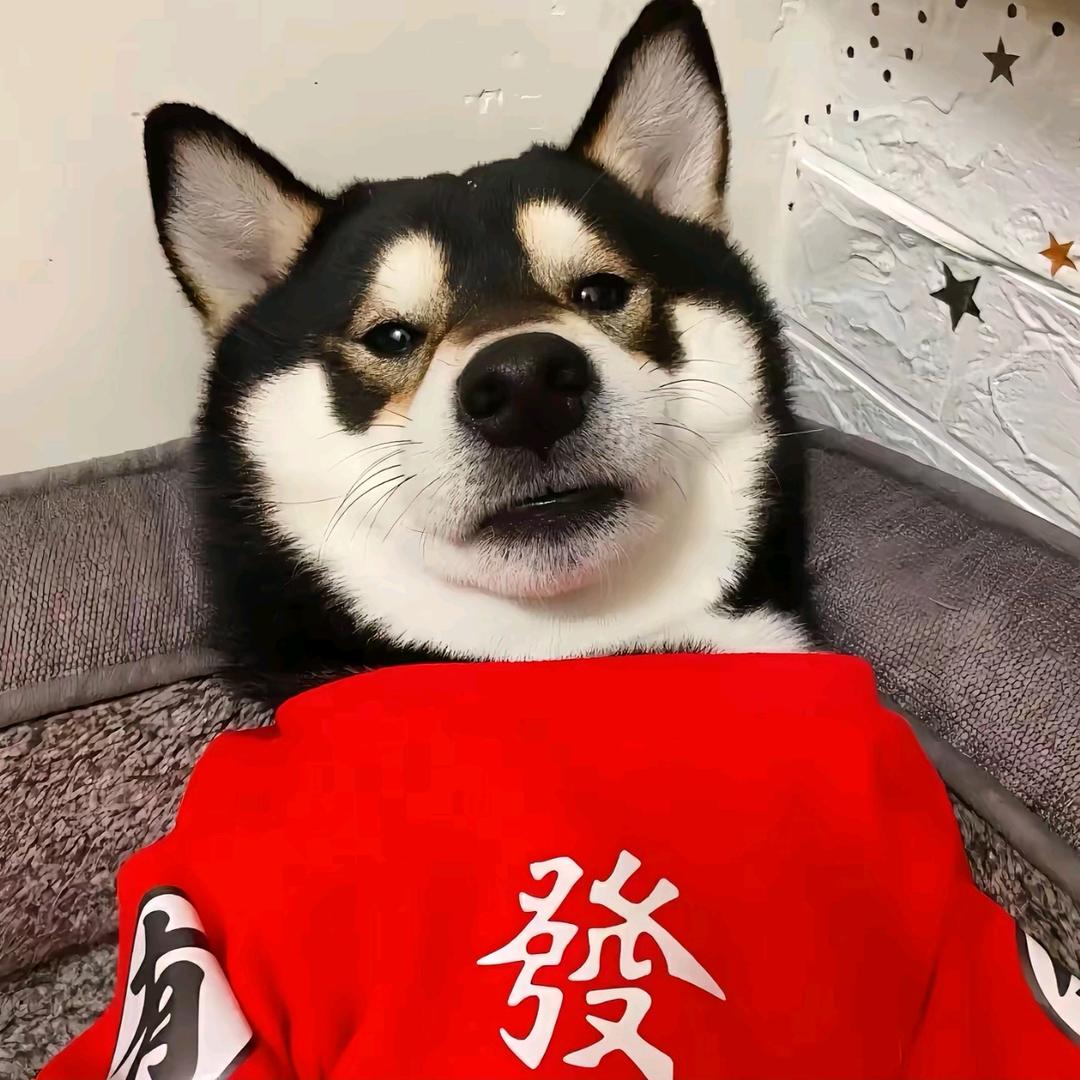 归途