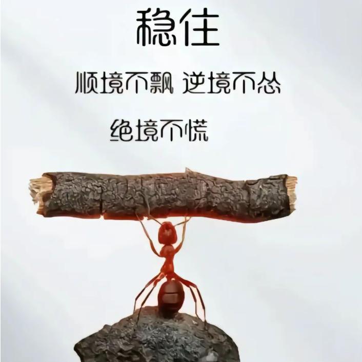 落叶ღ᭄竹涧醉