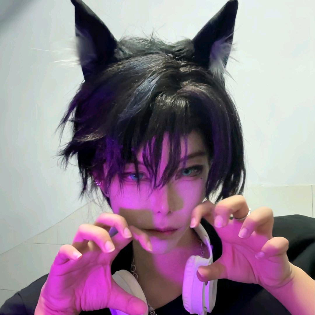 豆晓鱼🐱
