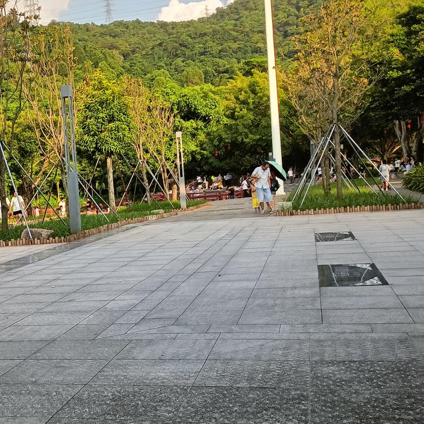 哦豁达白金菊芳