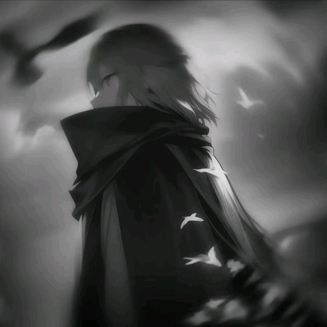 你总说我送#54409