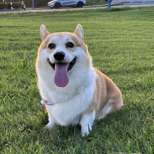 小倩如