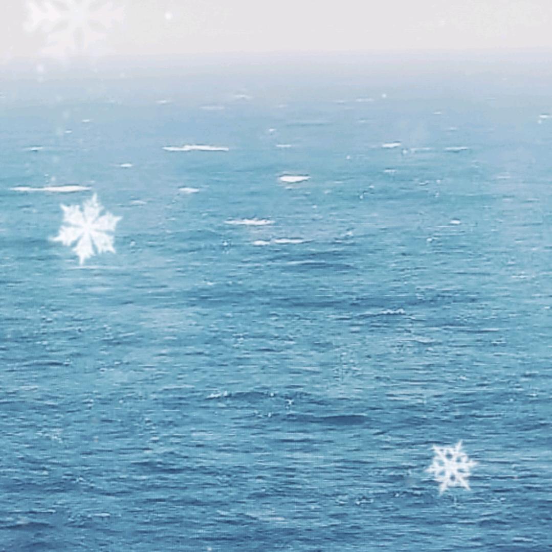 沧海逐梦
