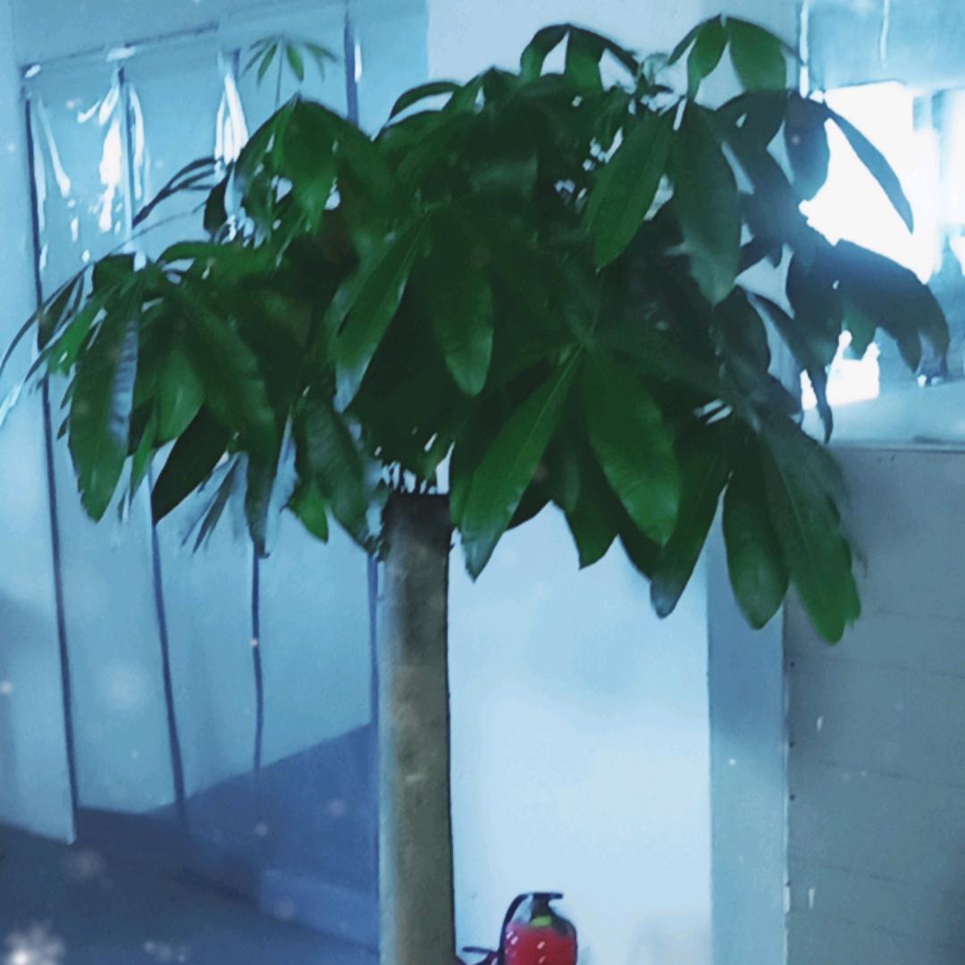 清泉居士
