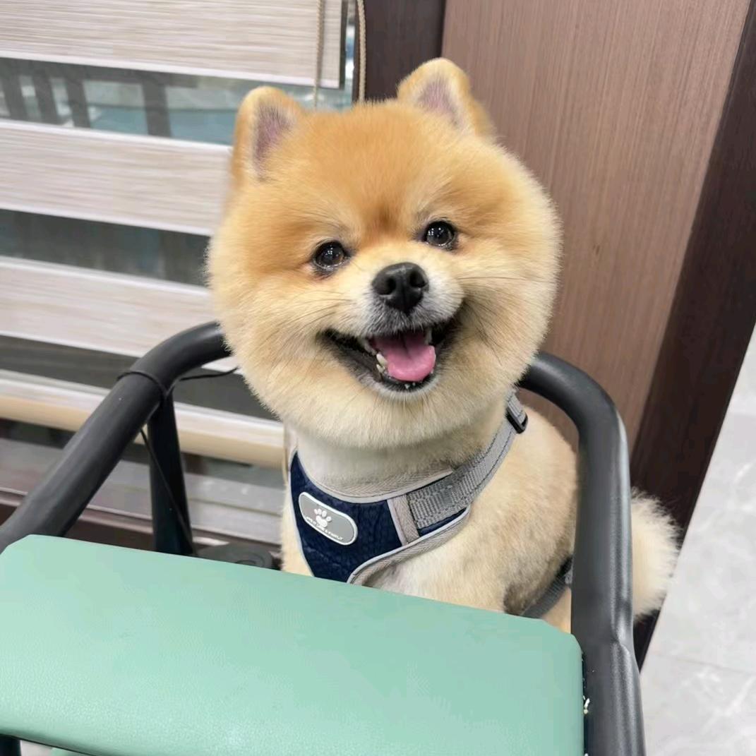 如沐春风🌹(73🐮)