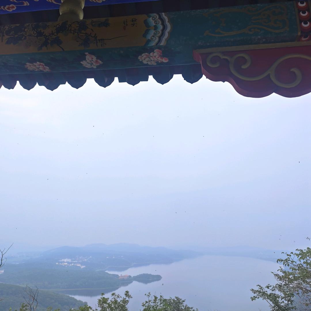 夏夏的风