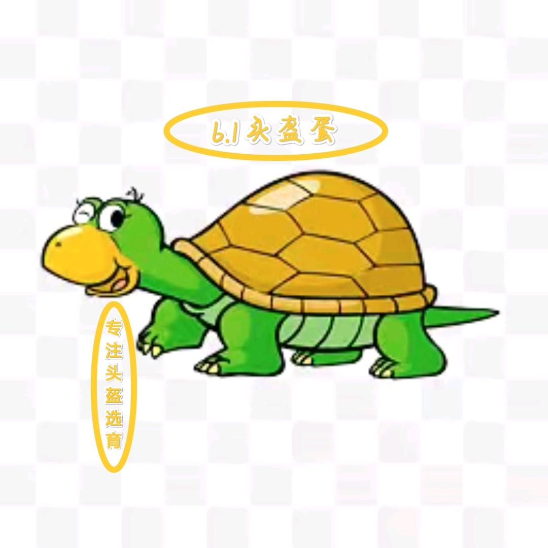 6.1头盔蛋