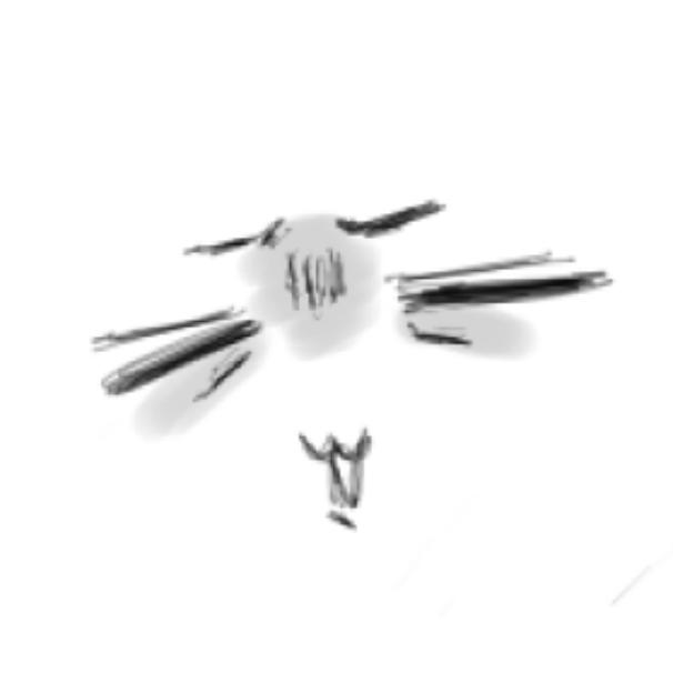 唔昂wang（乞讨版）