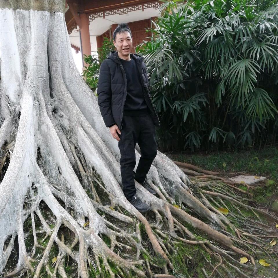 东山再起