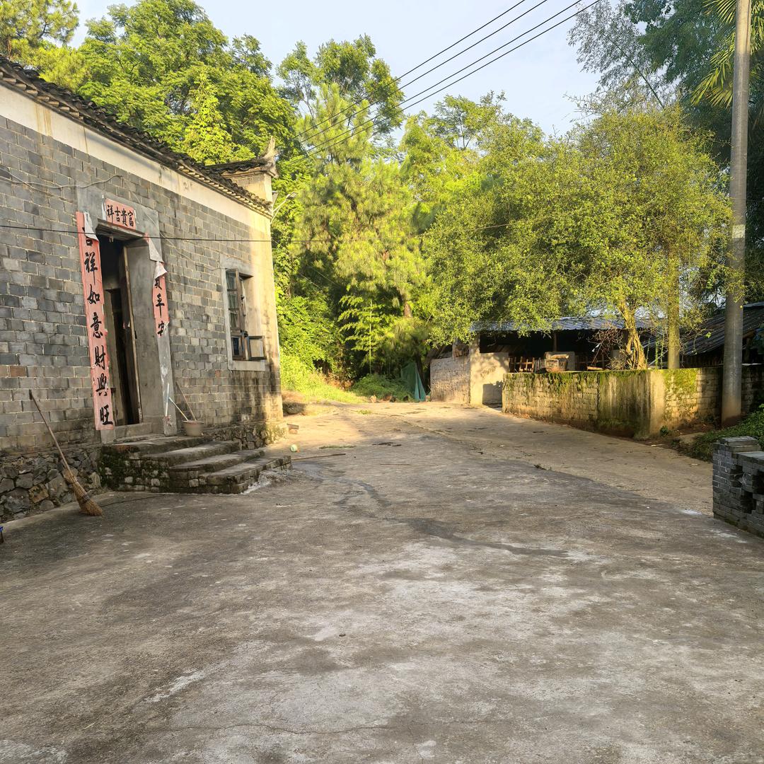 @景德镇丽阳乡（牛嫂）