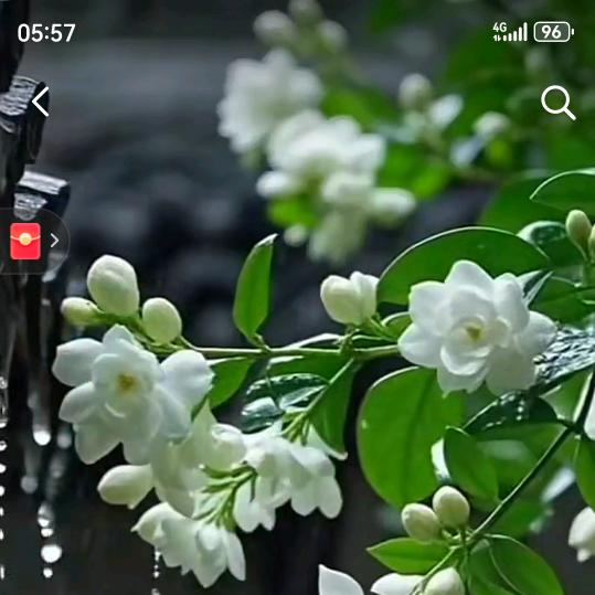 雨夜美丽