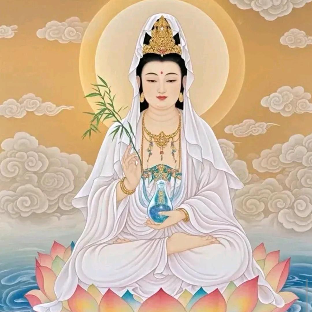 风华正茂