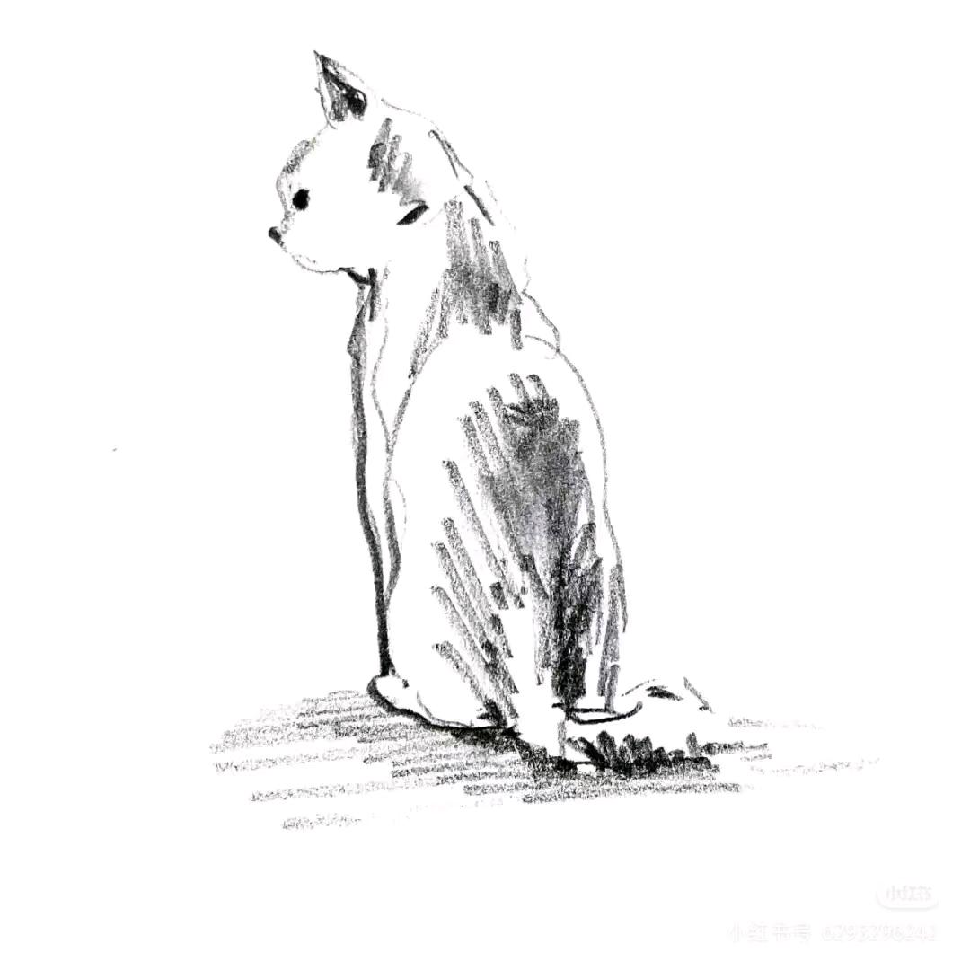 有巢鸿（法裕）